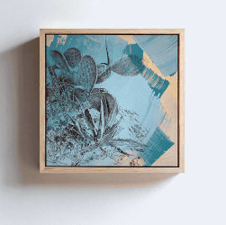 Alban de Chateauvieux - Galerie de Francony